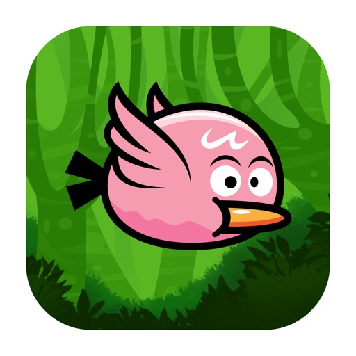 Pinky Flyer iOS App