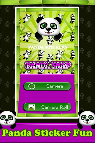 Panda Snap - Awesome Panda Stickers screenshot 2