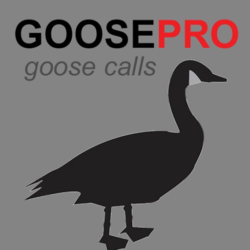 Canada Goose Calls & Goose Sounds for Hunting - BLUETOOTH COMPATIBLE iOS App