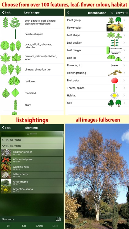 Tree Id USA - identify over 1000 of America's native species of Trees, Shrubs and Bushes screenshot-4