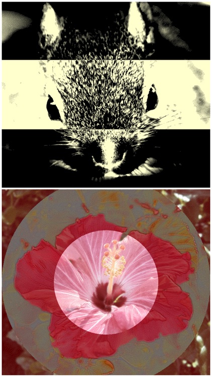 StripeImager - Stripe,Check,Zebra Pattern Art Generator