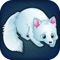 Arctic Foxes - Fun Feeding/Cute Animals