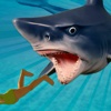Angry Shark in the Deep Sea human attack for evolution