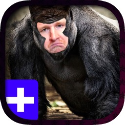 Animal Prank Photo Maker - Make Funny Photos With Your Face On Animals Body