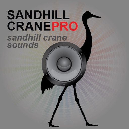 SandHill Crane Calls - SandHill Crane Hunting Call