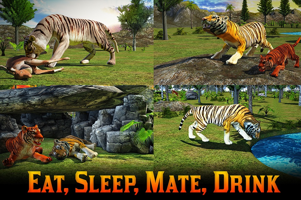 Adventures of Wild Tiger screenshot 4