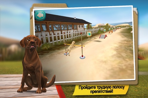 Dog Hotel Premium screenshot 3