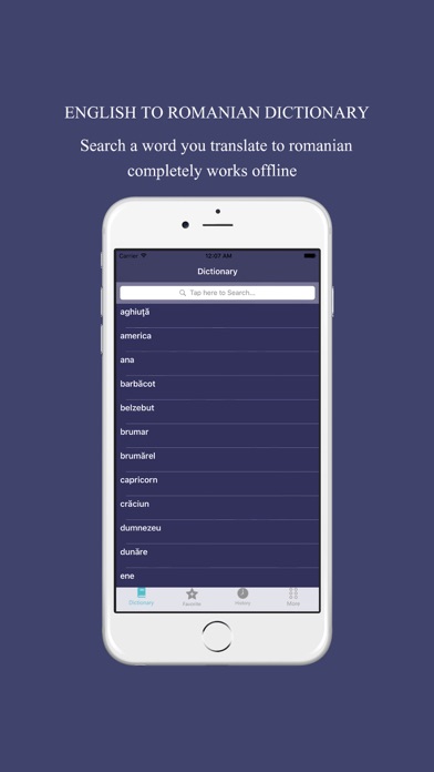 How to cancel & delete English to Romanian Dictionary: Free & Offline from iphone & ipad 2