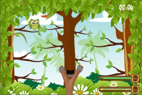 Bird Hunter SlingShot screenshot 2