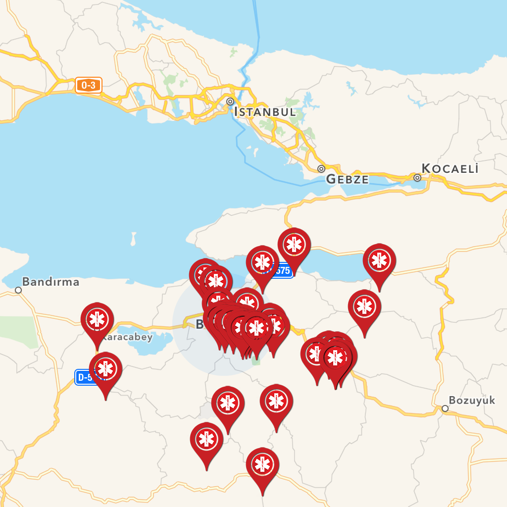 Get Bursa Nöbetçi Eczaneler for iOS, iPhone, iPad Aso Report