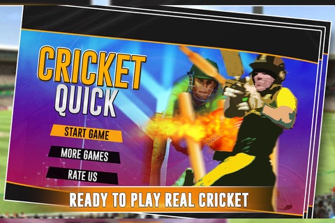 Quick Cricket 3D screenshot 2