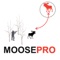Are you a moose hunter who loves to hunt for moose