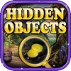 The Hidden Place - Hidden Object game for kids and adutls