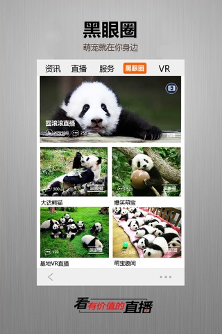 金熊猫 screenshot 4