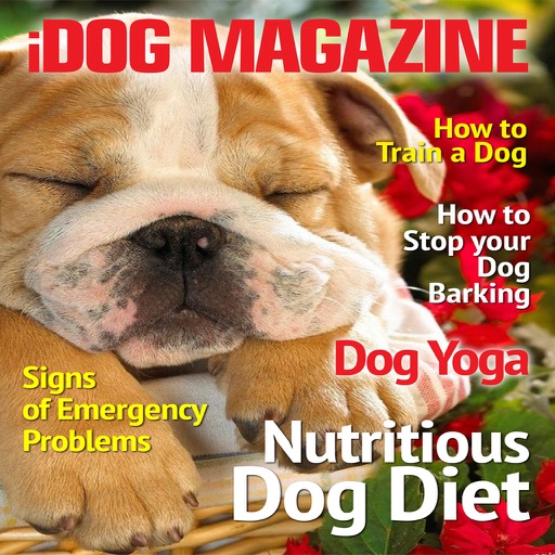 iDog Magazine - The Best new Dog, Puppy Training, advice and tips Magazine for Dog Owners icon