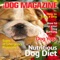 iDog Magazine Special Launch Discount - Try Our FREE 7 Day Trial Today