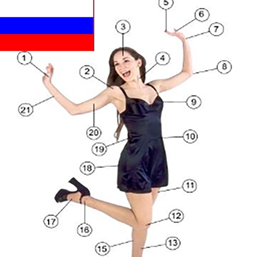 Learn Body Parts in Russian