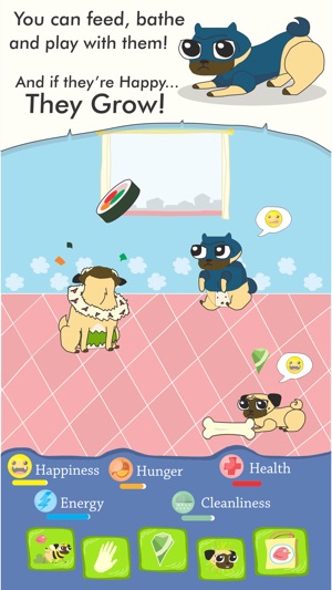 Growing Pug(圖3)-速報App