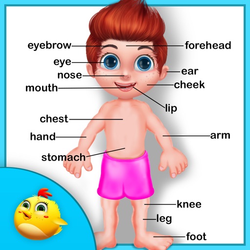 Learning Human Body Part - 2 iOS App