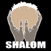 Shalom Haarlem