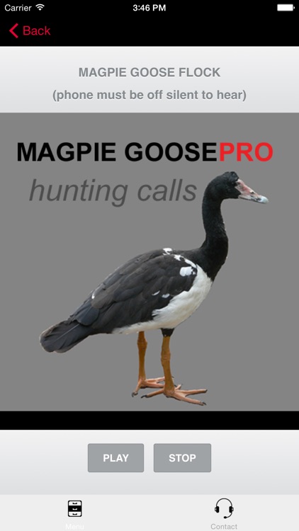 REAL Magpie Goose Calls - Hunting Calls for Magpie Geese - (ad free) BLUETOOTH COMPATIBLE screenshot-0