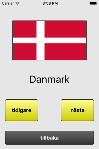 National flags- quiz screenshot 2