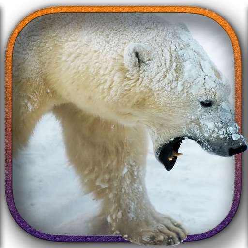 Aggressive Wild Bear - 3D Sniper Simulator 2016 Icon