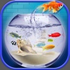 Aquarium Wallpaper – Relax.ing Fish Tank Backgrounds With Beautiful Lock Screen Theme.s