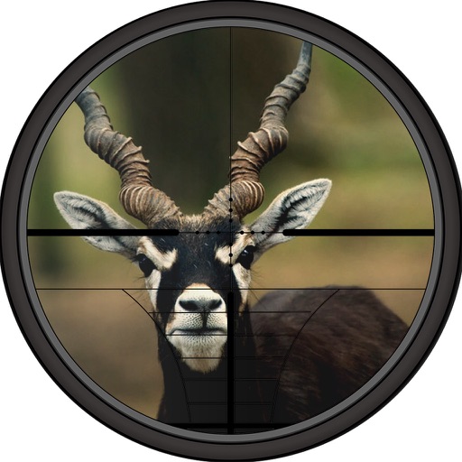 2016 Black Deer Hunting icon