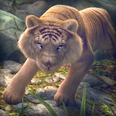 Tiger Run | Animal Simulator Games For Children Free