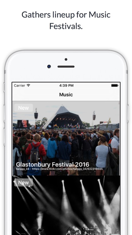 Meetrow - App gathers lineup for Music Festivals