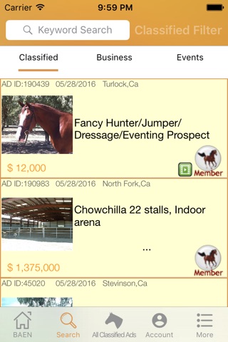 BAEN - Bay Area Equestrian Network screenshot 2