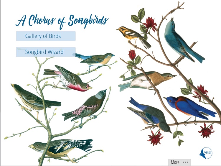 A Chorus of Songbirds