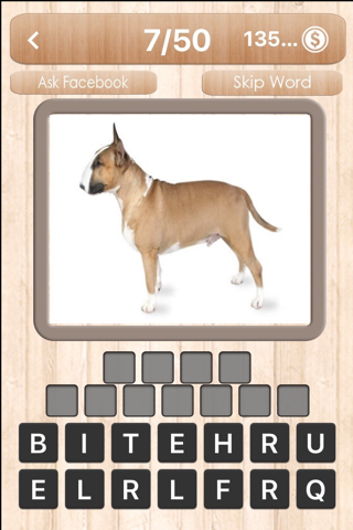 Dog Quiz - Guess the dog photo word famous Dogs, picture puzzle trivia games screenshot 2