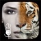 Icon InstaFace:face eyes blend morph with animal effect