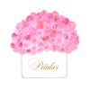 Petalier - Luxury Bloomed Box