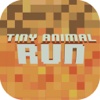 Box Pet Game - Modded Cubicity Run