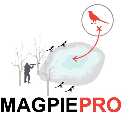 Magpie Hunting Strategy - Plan Your Magpie Hunting Trip (ad free)