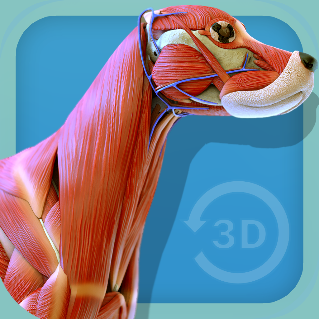 Get Visual Anatomy - Canine for iOS, iPhone, iPad Aso Report