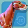 Get Visual Anatomy - Canine for iOS, iPhone, iPad Aso Report