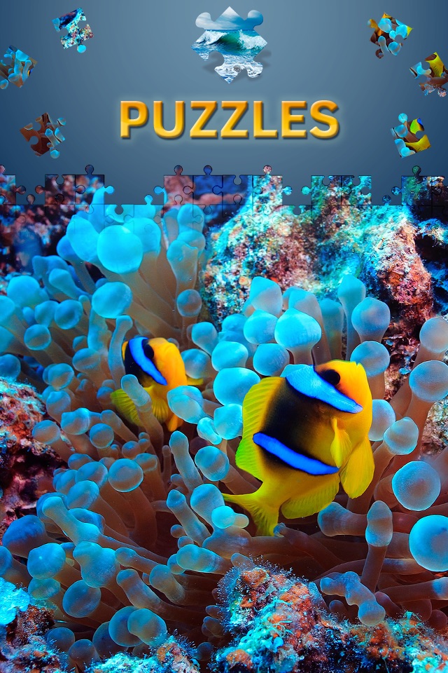 Ocean Jigsaw Puzzles Games for Adults screenshot 2
