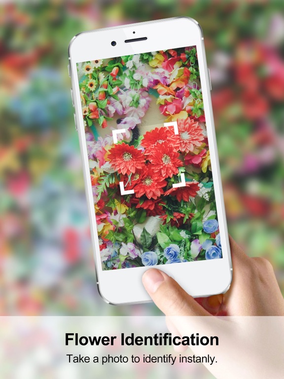 Garden Flower Identification Plant Identifier Free App Price Drops