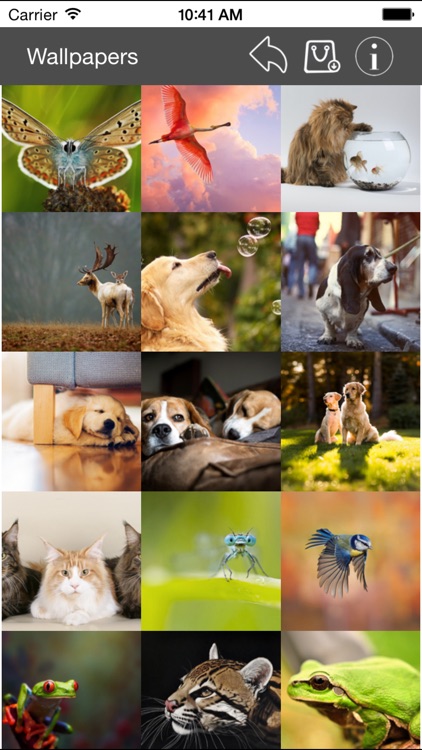 Wallpaper Collection Animals Edition screenshot-3