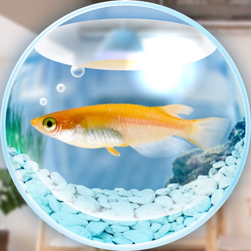 Killifish Aquarium Free iOS App