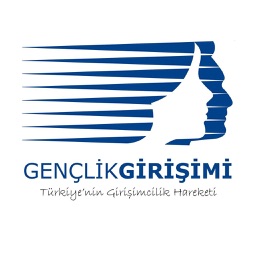 Girişim Hareketi