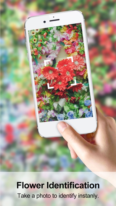 Appgrooves Compare Garden Flower Identification Plant