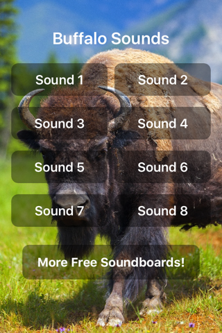 Buffalo Sounds! - náhled