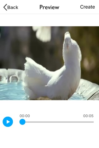 Video to Gif - Create Gif From Video screenshot 2