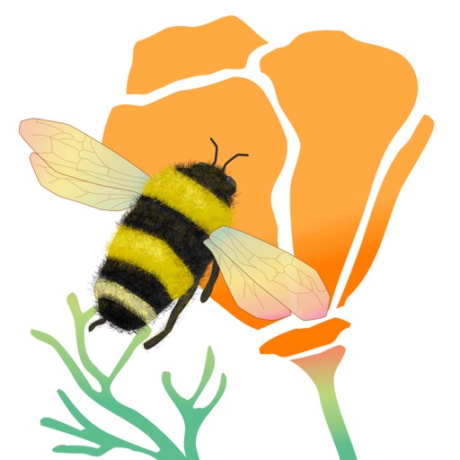 Wild Bee Gardens