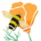 Help protect North America's premier pollinators by learning how to create habitat for them in your own backyard